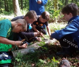 IMG_20170604_160744